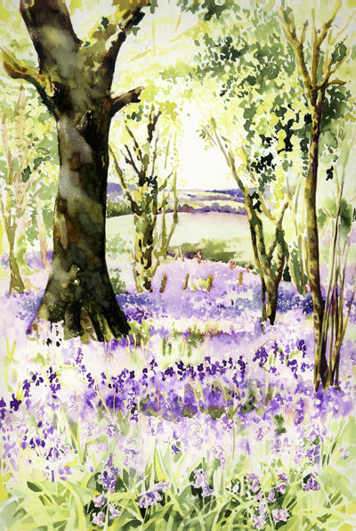 Bluebells at Godshill